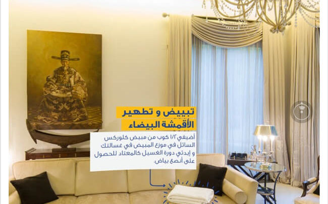360 CLOROX Arabia - Living Room